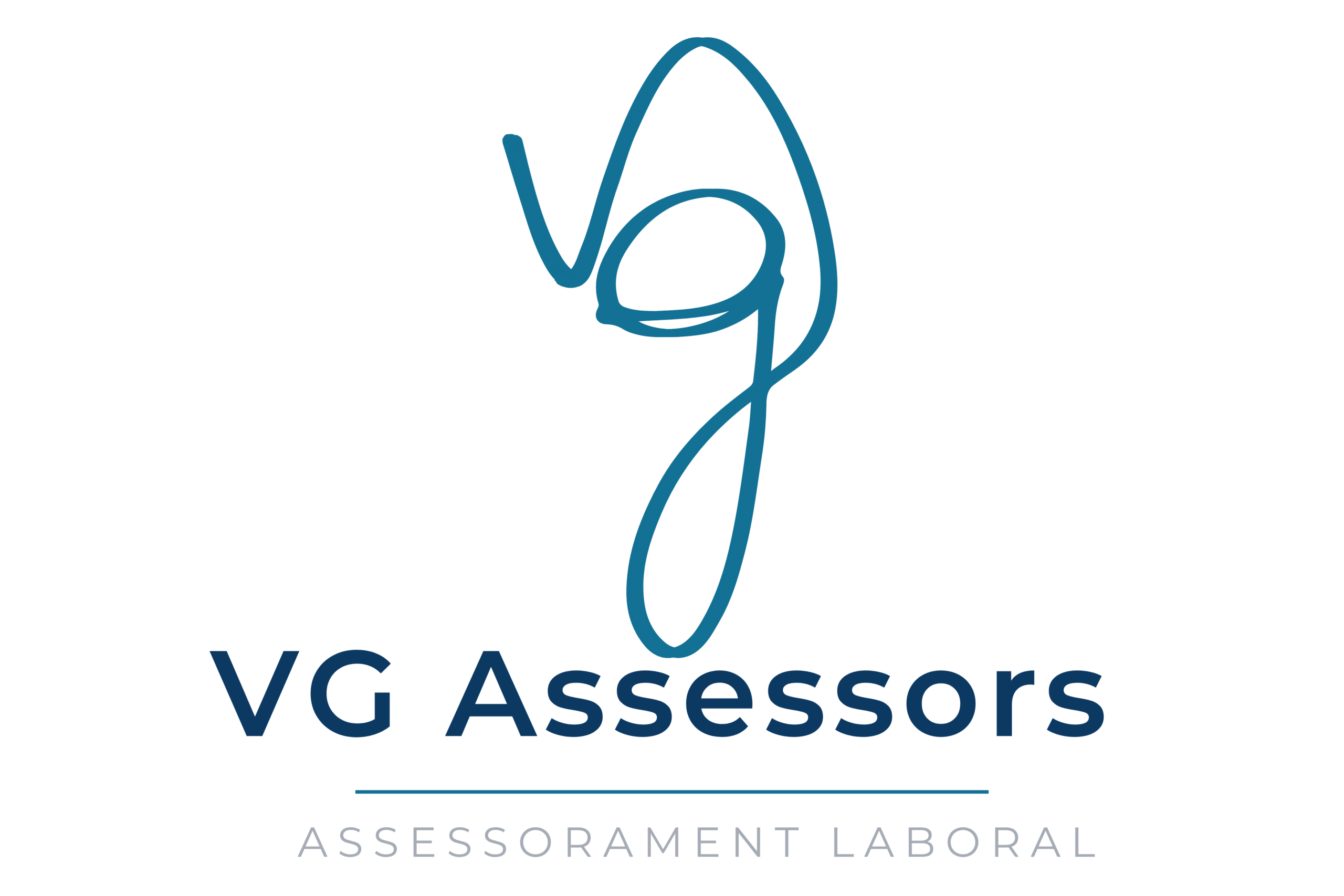 VG Assessors · Assessorament laboral